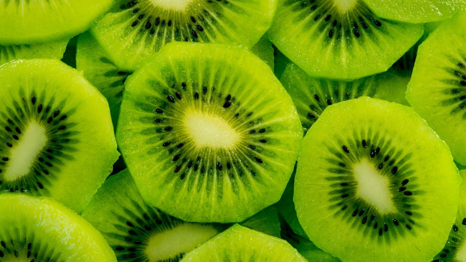 kiwi Wallpaper