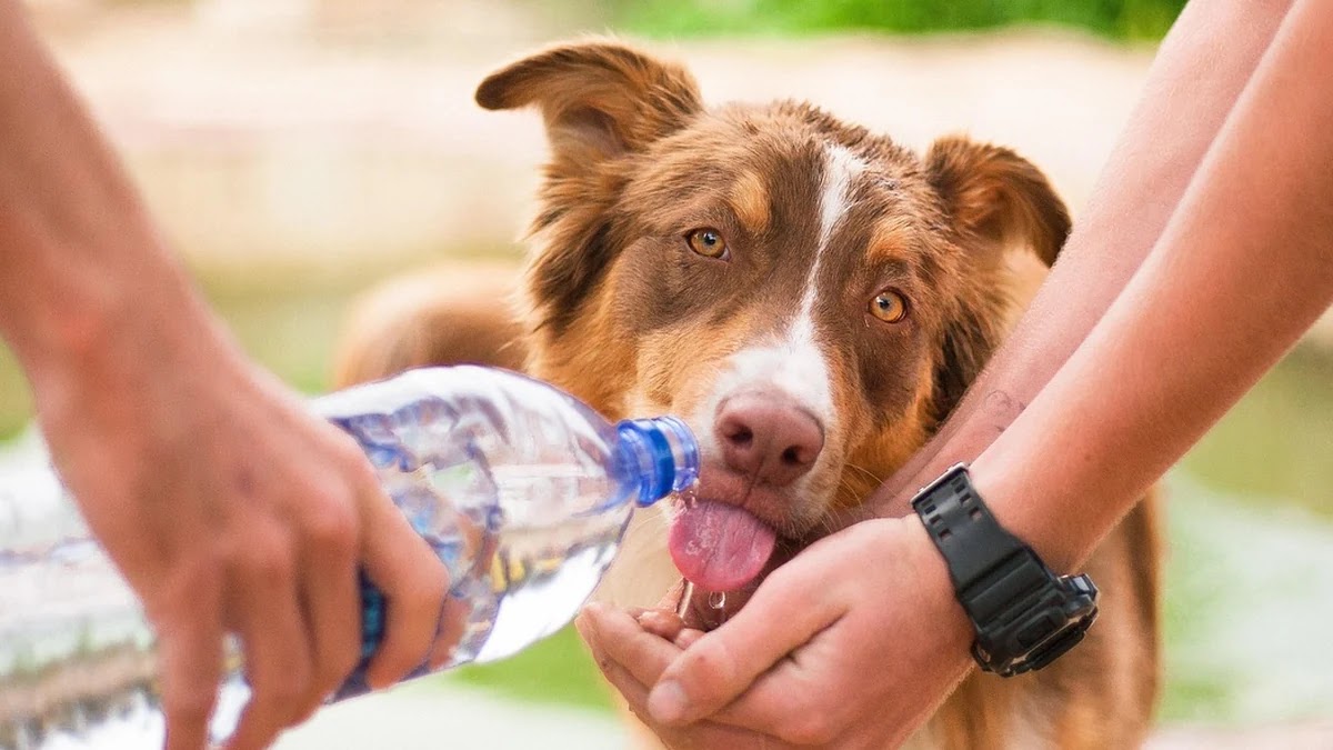 정부지원 대출과 금융지원금 차이 및 신청 기준
