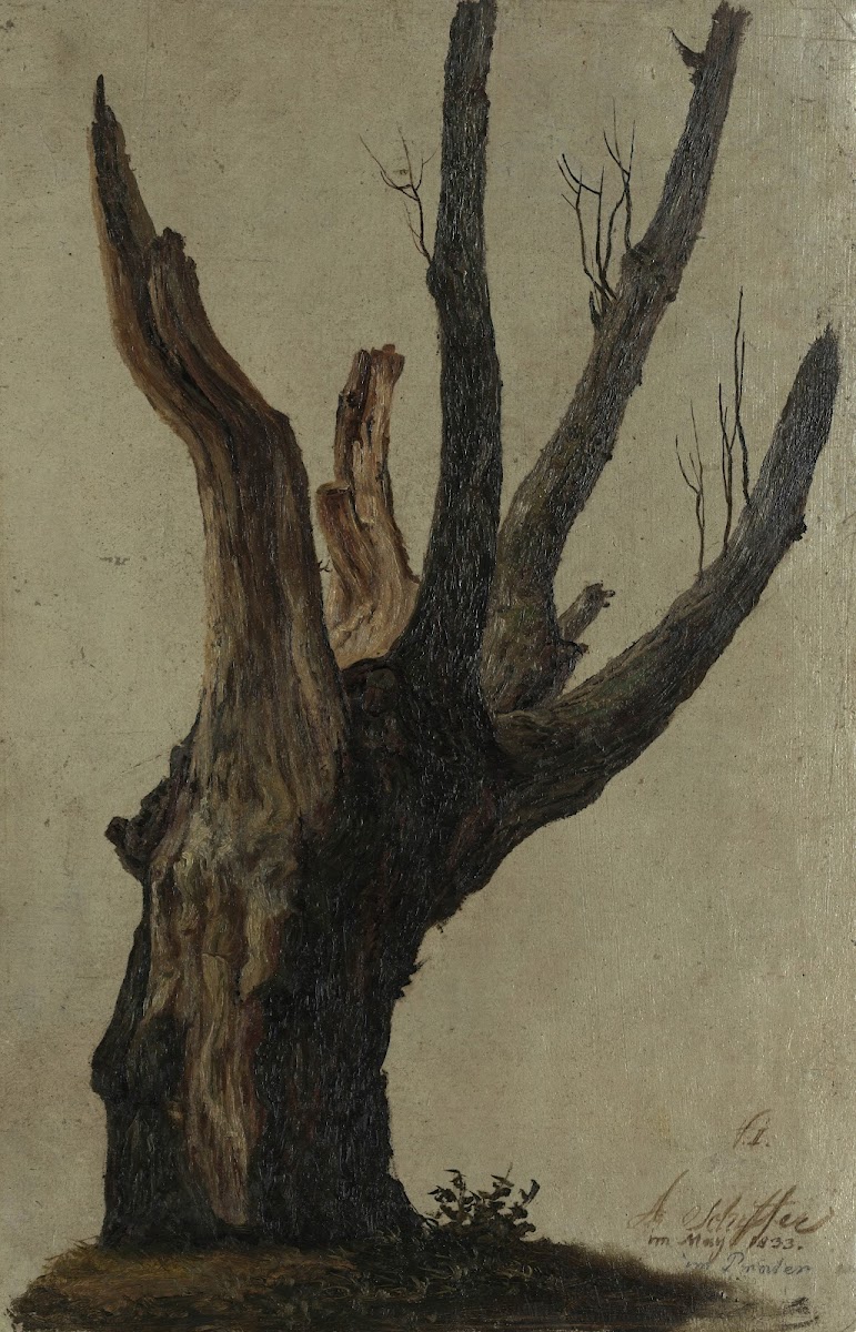 Baumstudie im Prater 1833