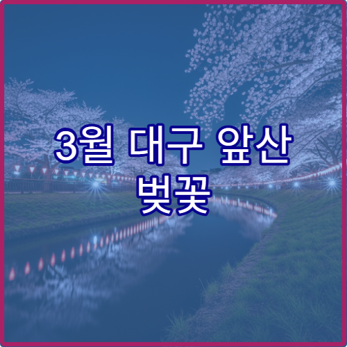 3월 대구 앞산 벚꽃 가족 놀이터 연계 코스와 아이 안전 주의점