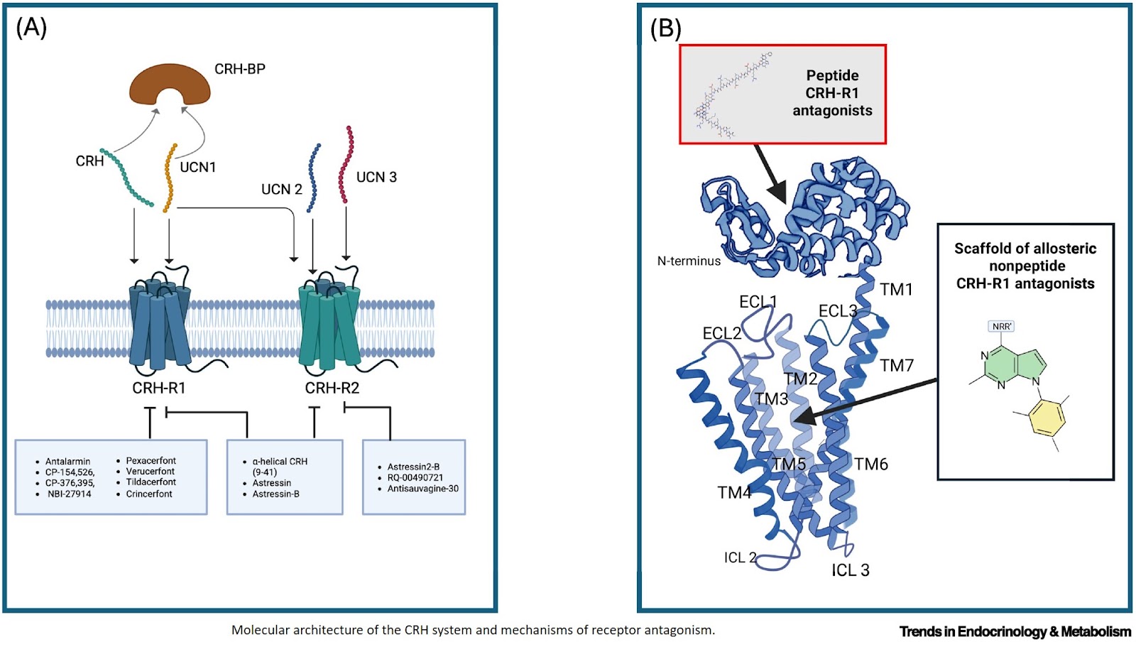 Rejigging CRH system for therapeutic applications