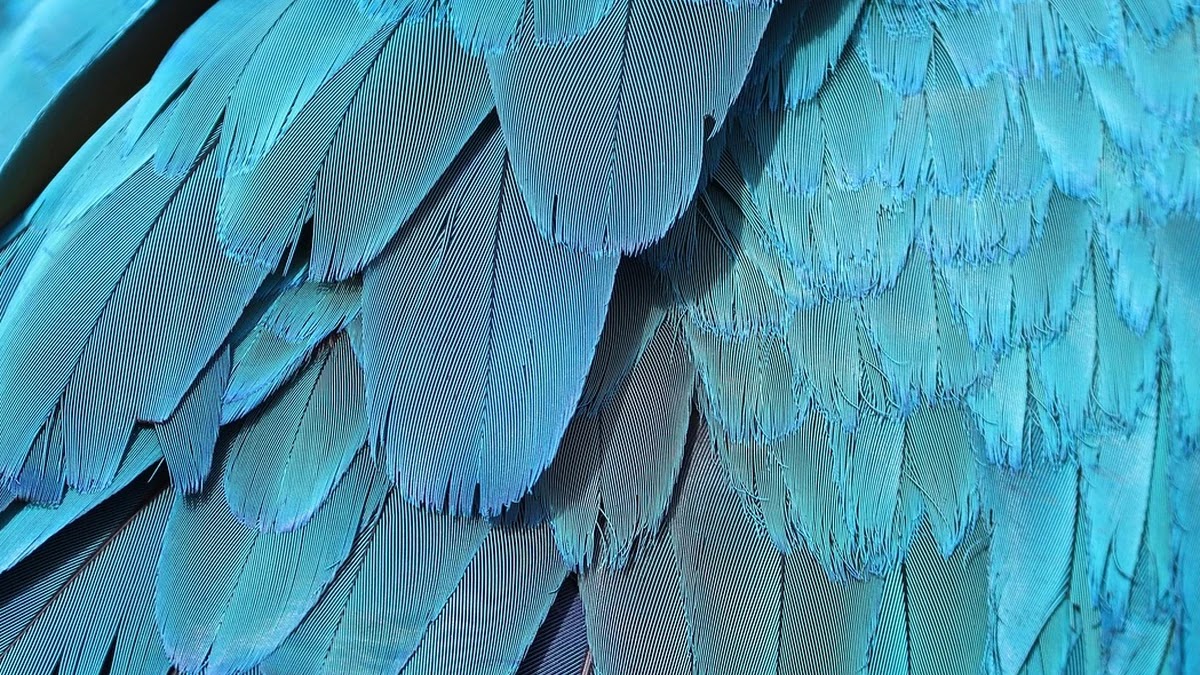 일본 메이지 유신의 역사적 배경과 동아시아 근대화의 전환점