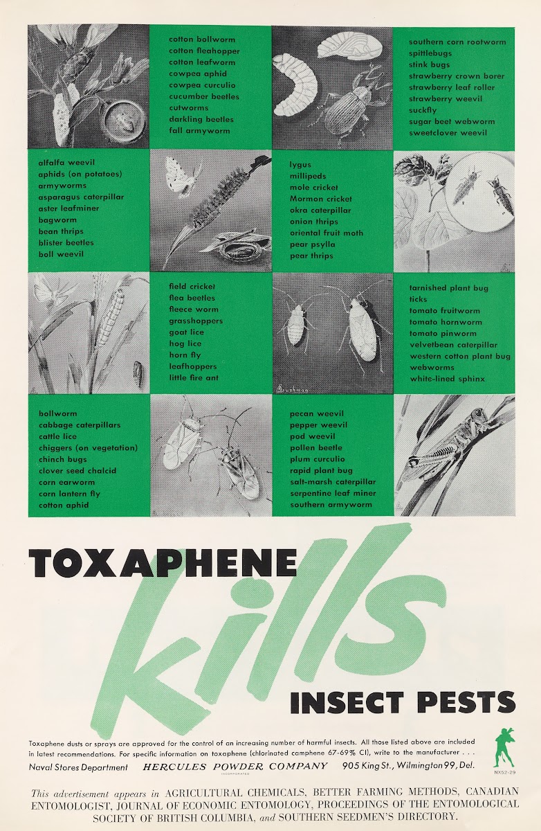 Toxaphene Kills Insect Pests 1952