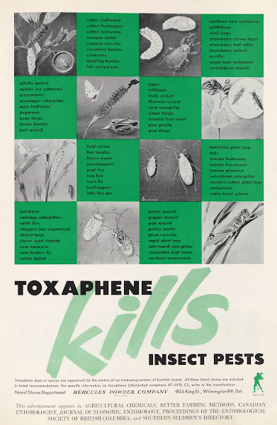 Toxaphene Kills Insect Pests 1952