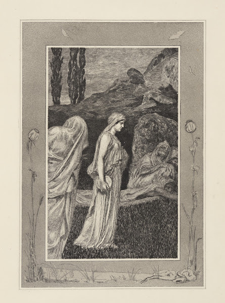 The Macabre & Mystical