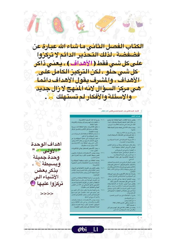 صورة الغلاف