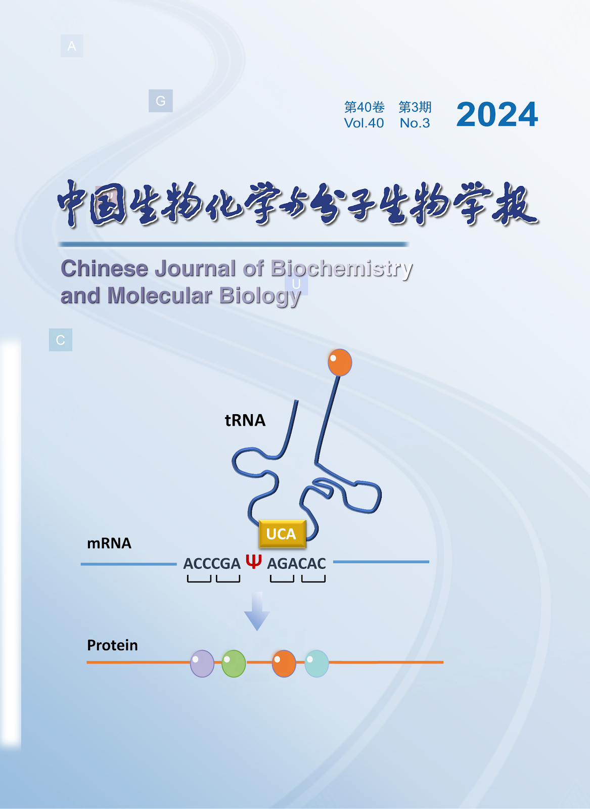 Cover Page of the 2024 Issue 3 of a Chinese Academic Journal