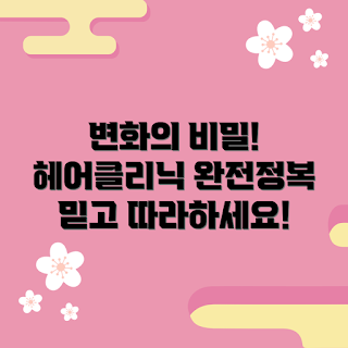 헤어클리닉 추천, 헤어클리닉 효과, 어떻게 신경 써야 할까, 믿을 수 있는 헤어클리닉, 헤어클리닉 변화 이유