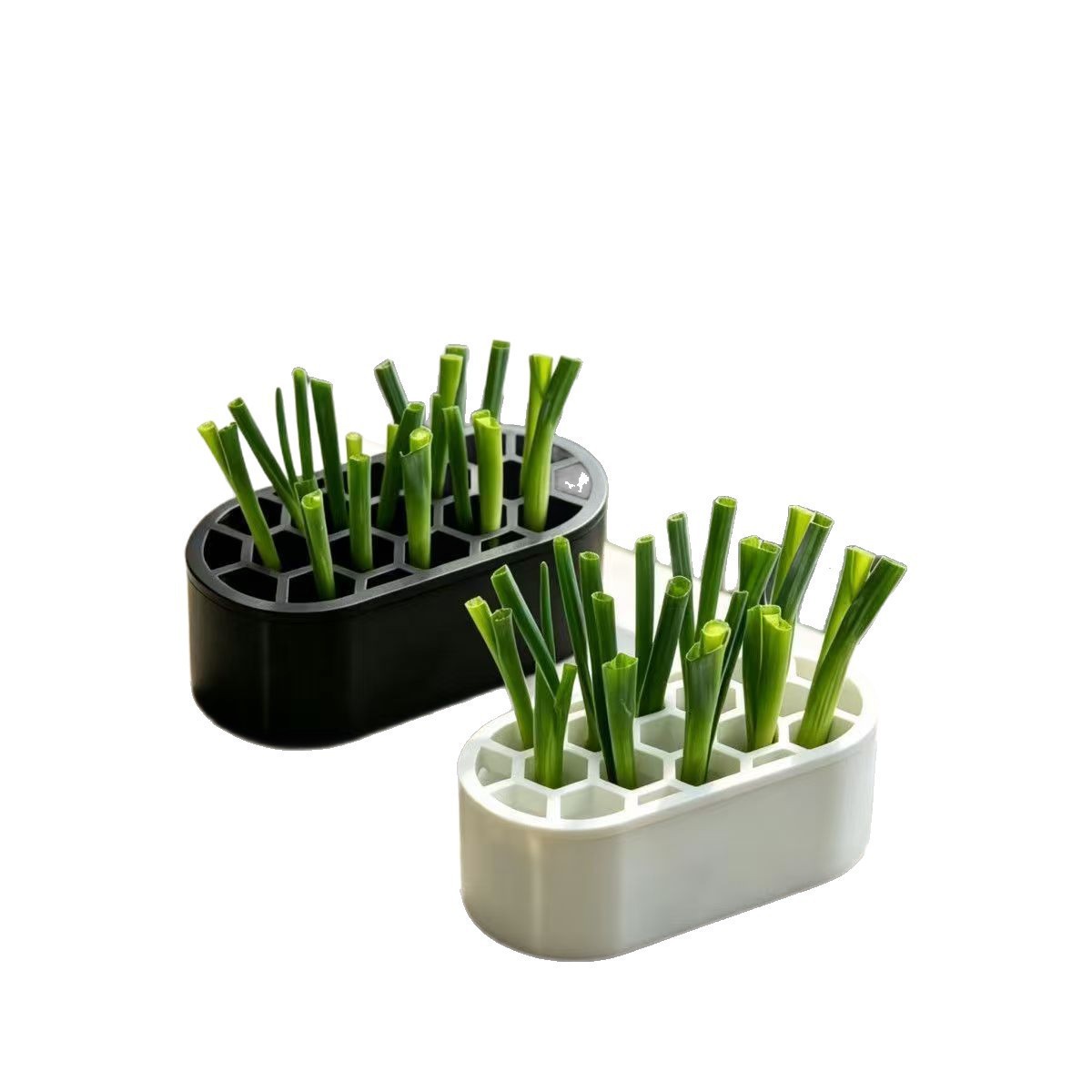 Hydroponic growing box for herbs and vegetables