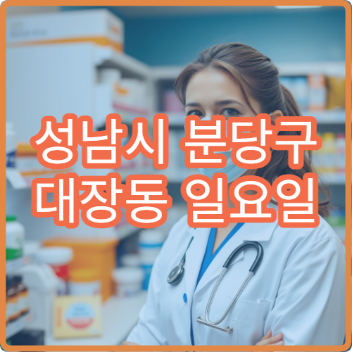 성남시 분당구 대장동 일요일 약국 신흥 주거지역 안내