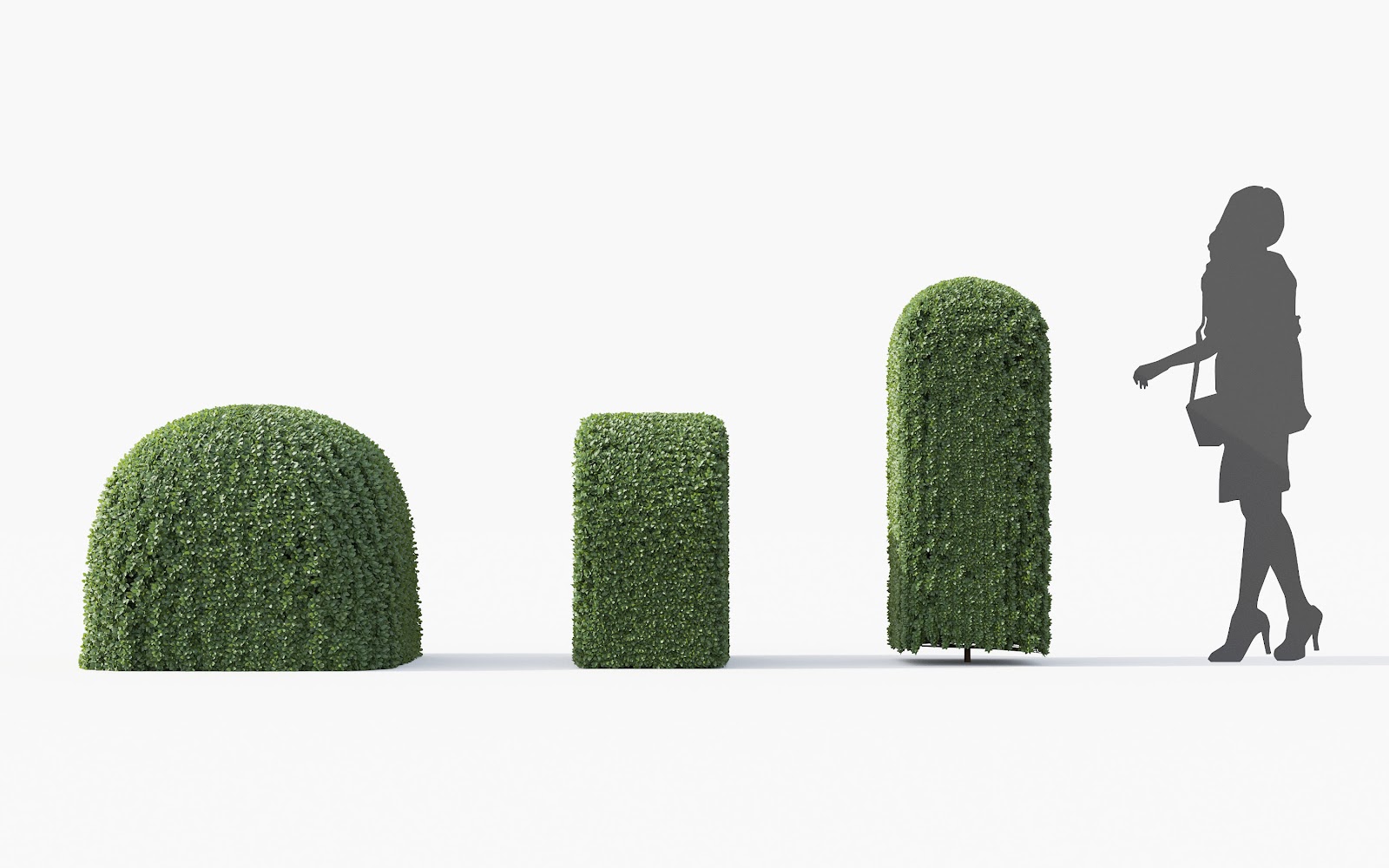 Maxtree - Plant Models Vol.28