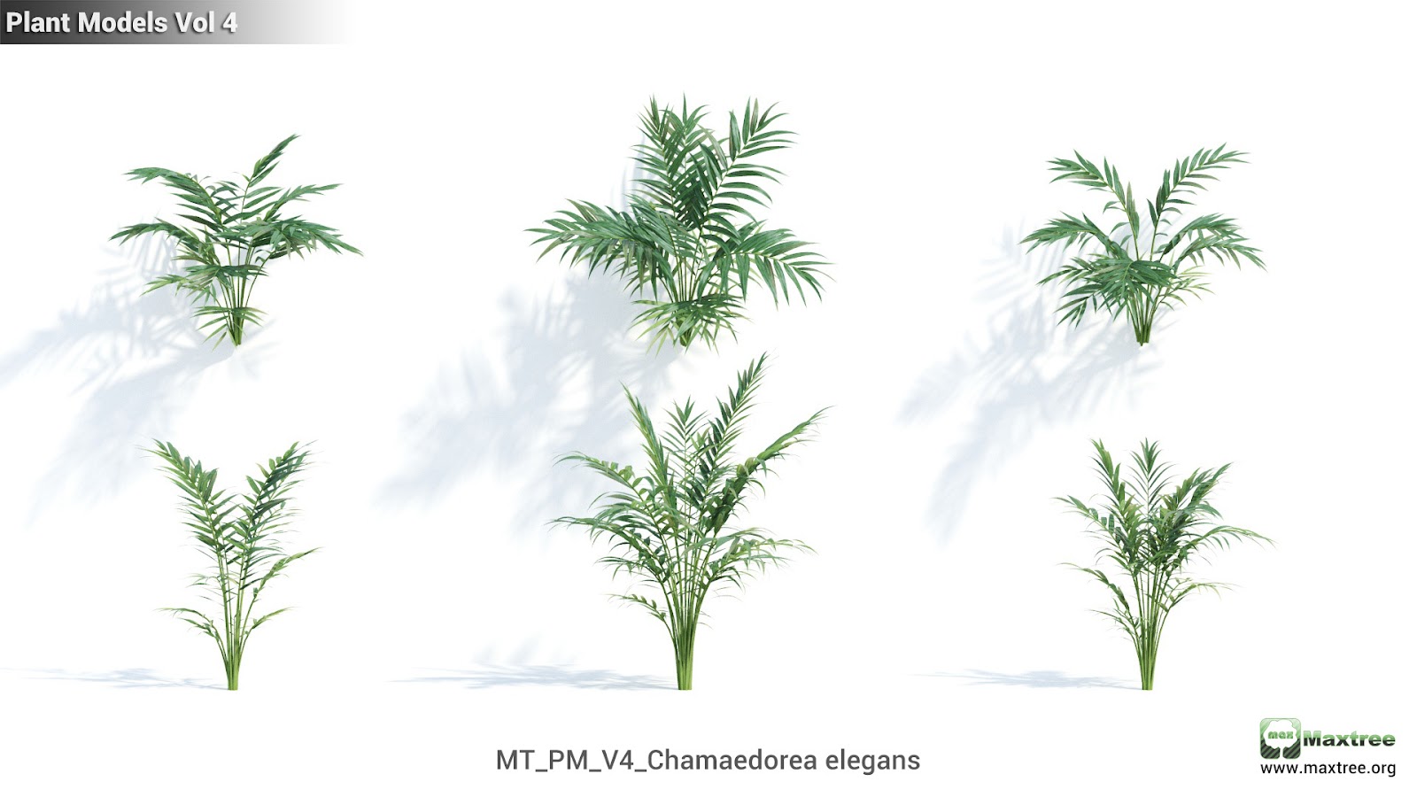 Maxtree - Plant Models Vol.4