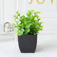 Small Potted Bonsai Bonsai Tiruan Kecil