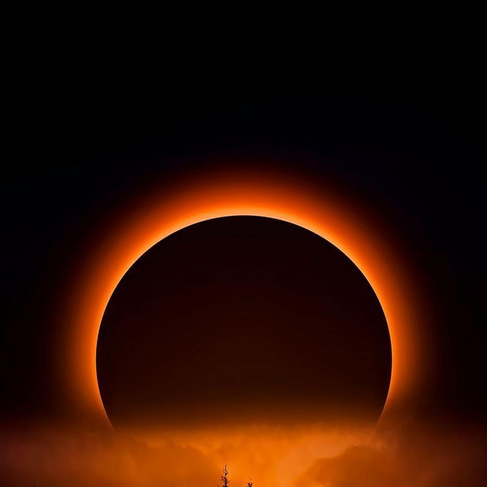 Download Total Solar Eclipse Over Forest Full HD iPhone