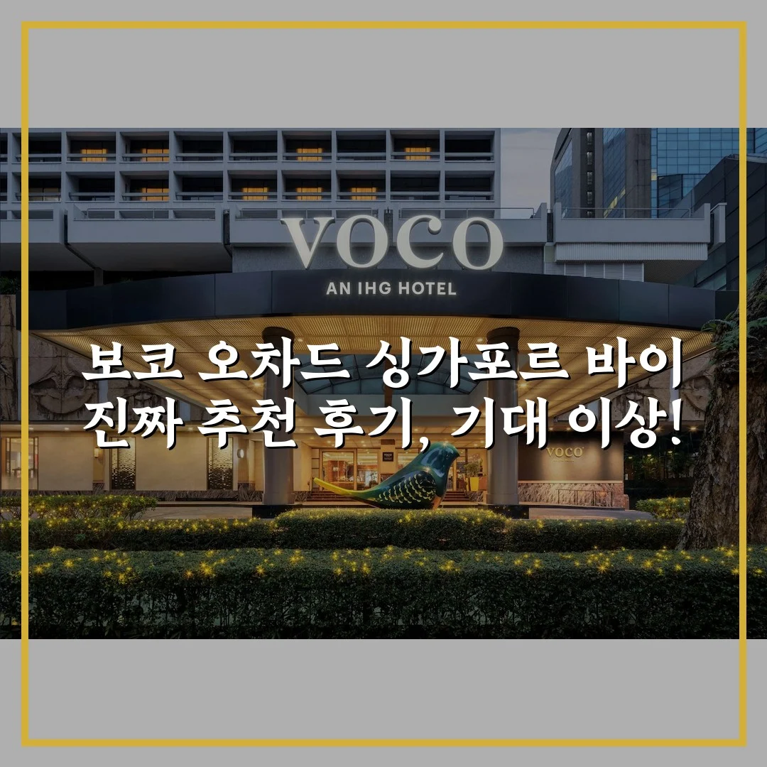 보코 오차드 싱가포르 바이 진짜 추천 후기, 기대 이상!