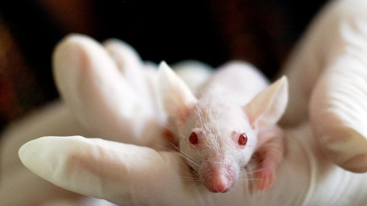 소비심리 함정에 빠지지 않는