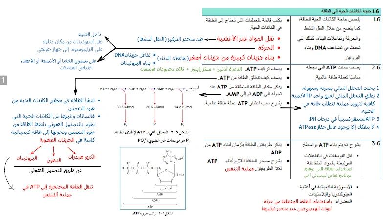 صورة الغلاف