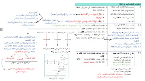 حل أسئلة وحدة الطاقة والتنفس - أحياء الصف 12 الفصل 2