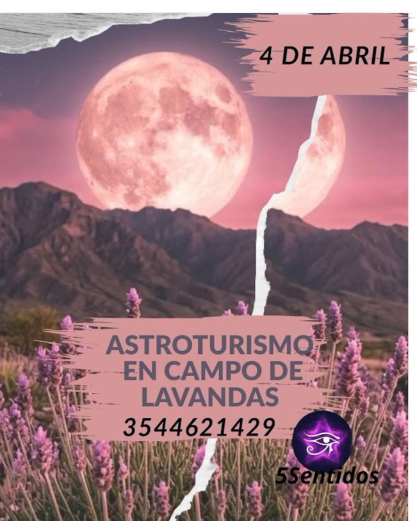 Astroturismo en Campo de Lavandas