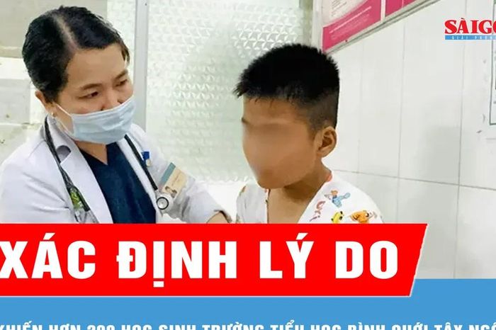 Xác định lý do khiến hơn 200 học sinh Trường Tiểu học Bình Quới Tây ngộ độc - Báo Sài Gòn Giải Phóng