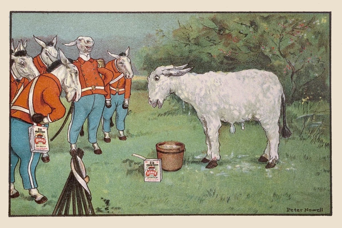 The mules declared he looked just like a great big woolly sheep 1904