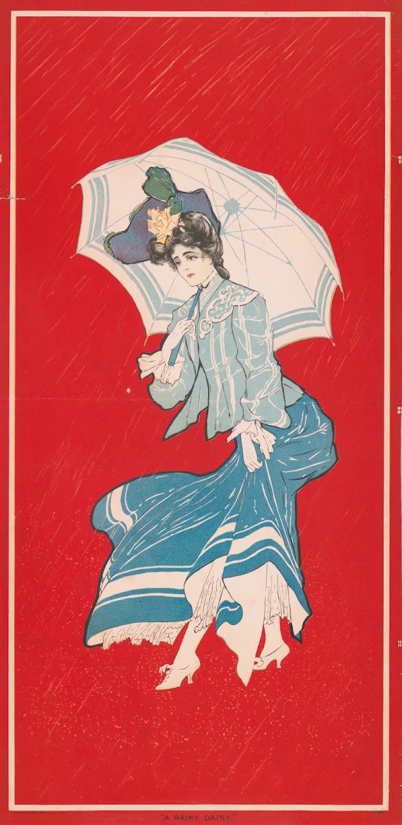 A rainy daisy 1905