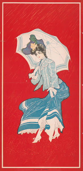 A rainy daisy 1905
