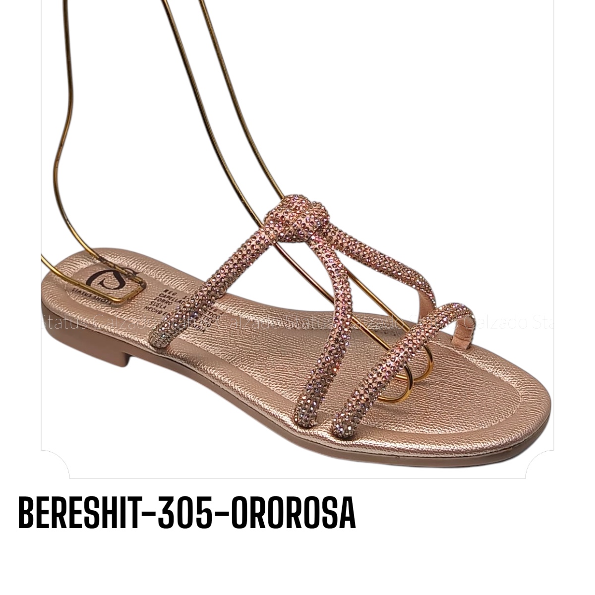 BERESHIT-305-OROROSA