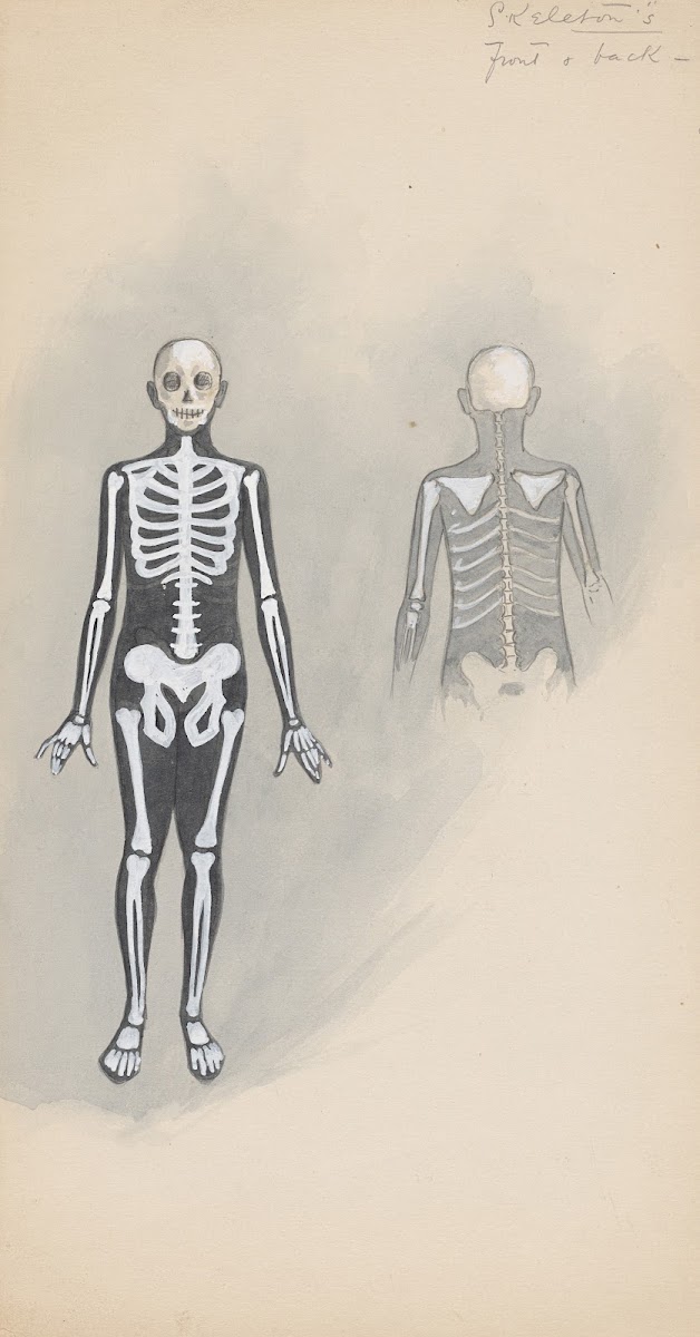 Skeletons  front  back 1922   1923