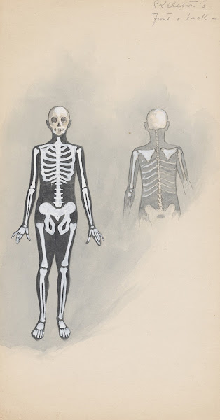 Skeletons  front  back 1922   1923