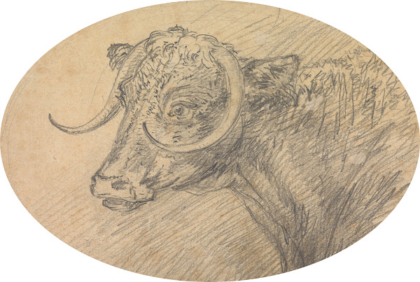 Head of a Bull 1760