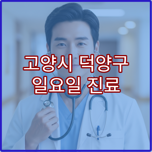 고양시 덕양구 일요일 진료 산부인과 병원 여성 질환·검진 상담 가능