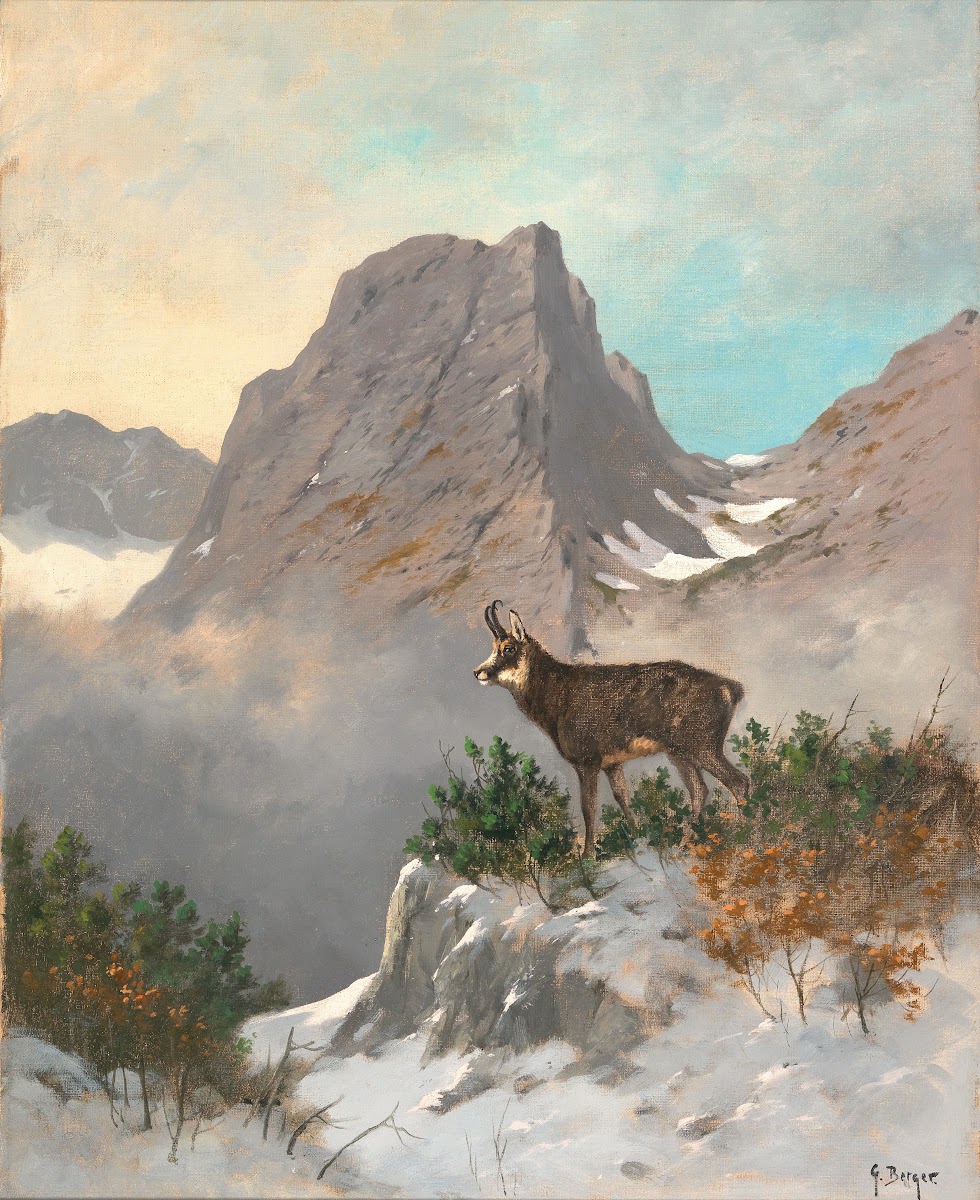A Chamois High in the Mountains