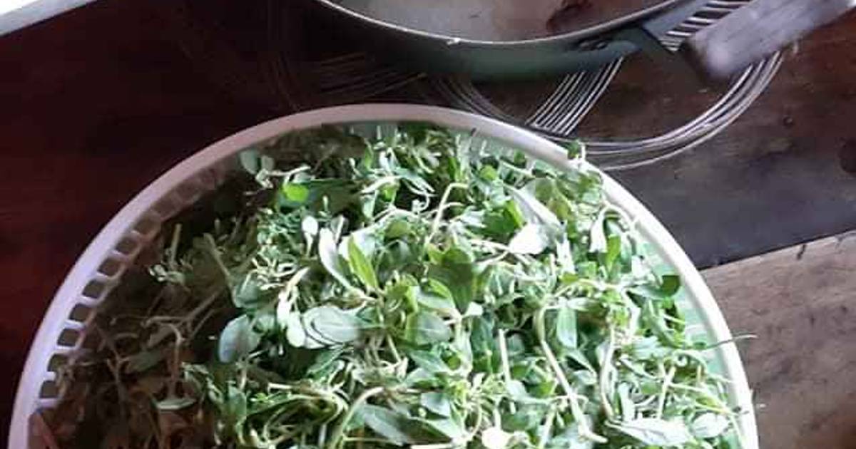 Cháo Cá Rau Đắng Đất