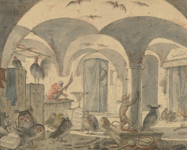 An Enchanted Cellar with Animals 16551670