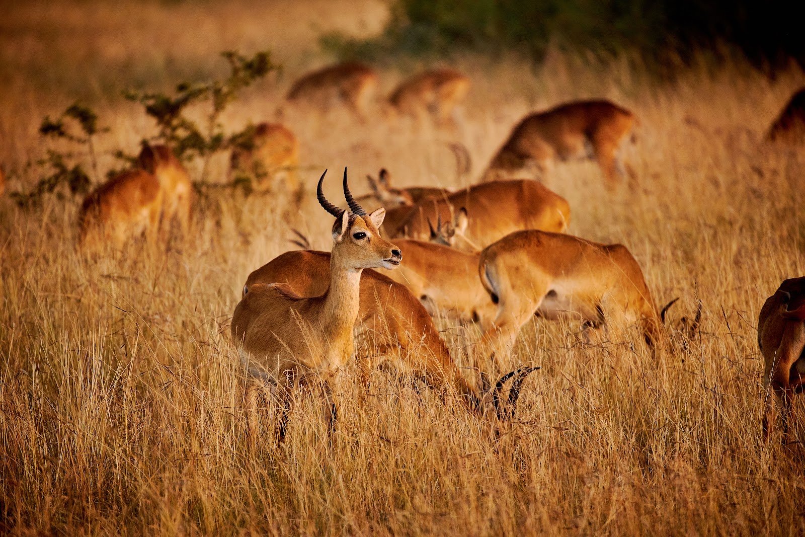 12-day journey through the heart of Kenya