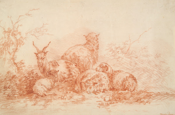 Sheep and GoatResting 17thcentury