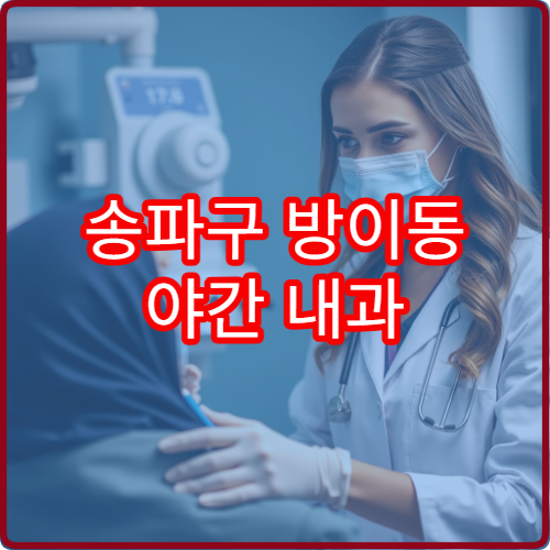 송파구 방이동 야간 내과 진료 가능한 병원 야간 진료 시간 안내