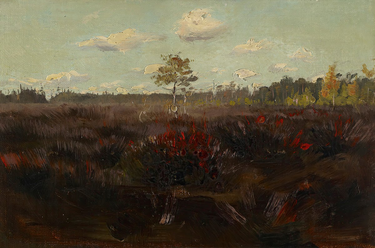 Bog in Lapland 1892