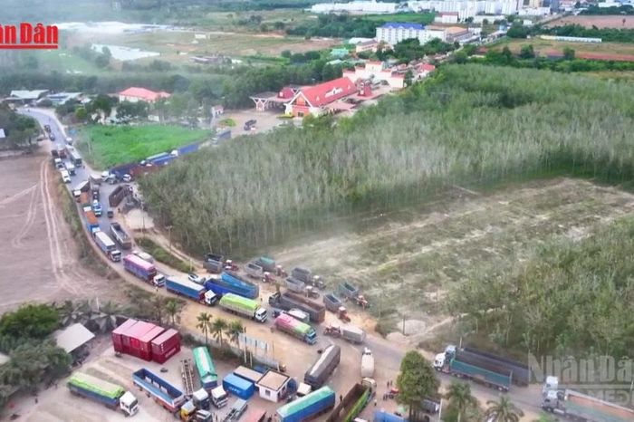 Chính phủ tiếp tục tạm ngưng áp dụng Nghị định 46 về an toàn thực phẩm - Báo Nhân Dân