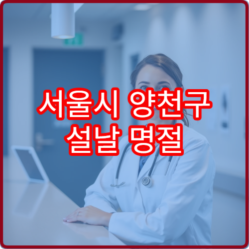 서울시 양천구 설날 명절 정형외과 연휴 진료 병원 염좌·골절·근육통 응급 처치 가능