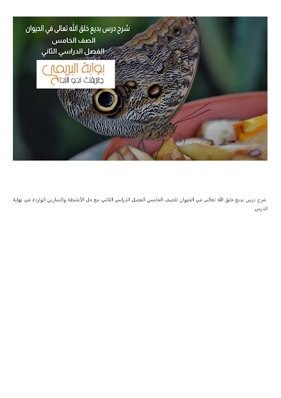 صورة الغلاف