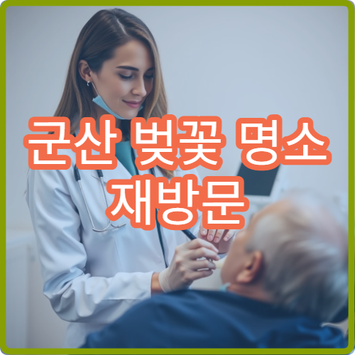 군산 벚꽃 명소 재방문 이유 평일vs주말 솔직 후기 비교 분석