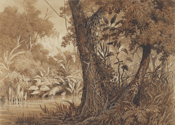 On the Cimaronero River 1857