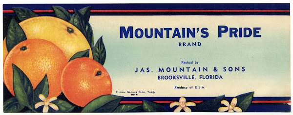 Mountains Pride Brand Citrus Label 1930 1950