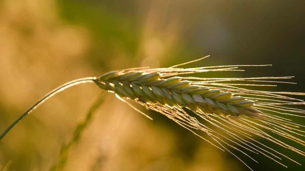 알바 퇴직금 산정 기준과 지급 조건, 실무에서 자주 묻는 질문