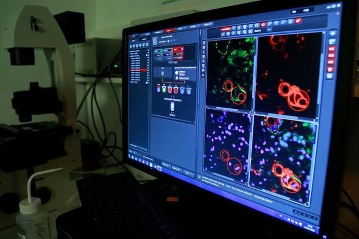 Pháp đẩy mạnh triển khai chiến dịch 'Tháng Năm màu xám' - Báo An Giang