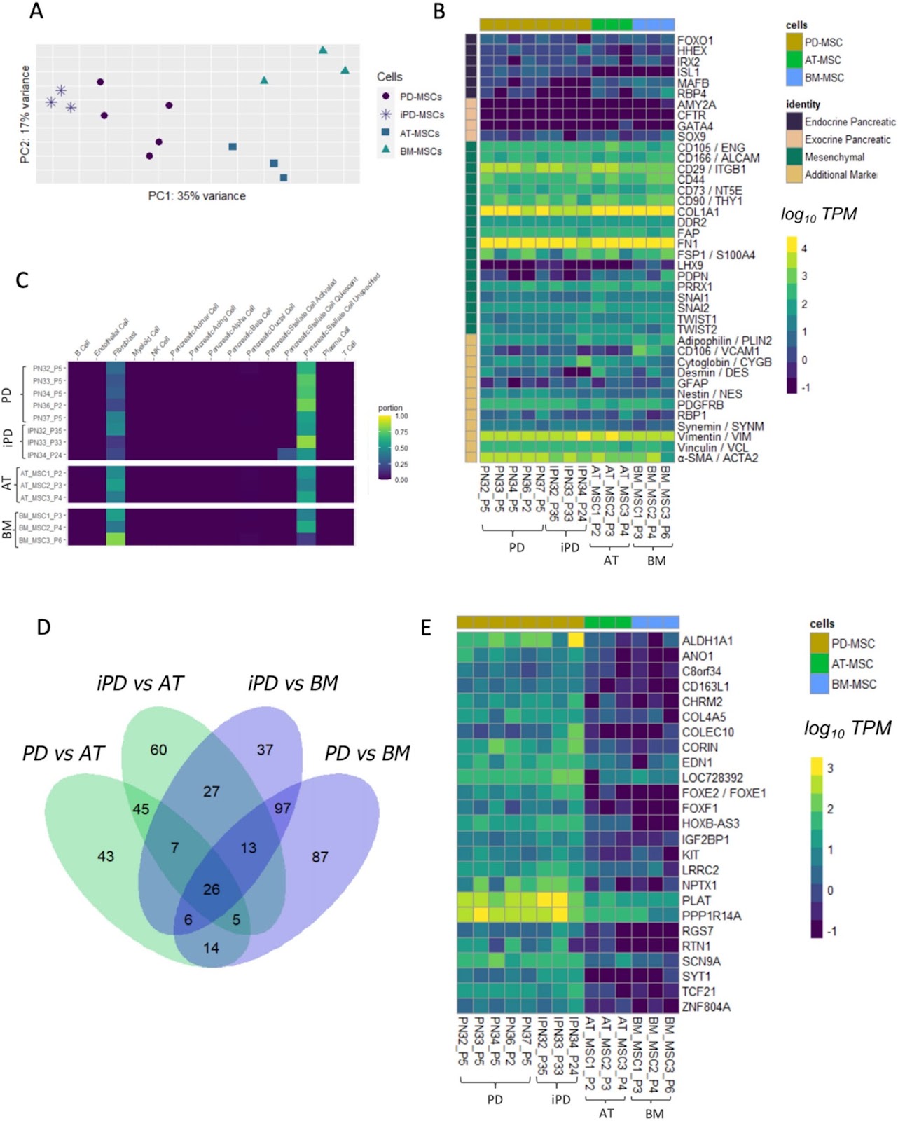 Human pancreatic islet-derived stromal cells reveal combined features of mesenchymal stromal cells and pancreatic stellate cells