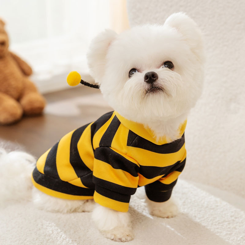 Sweatshirt for Dogs and Cats with Bee Design