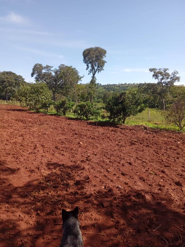 Chácara em Goiás Velho - GO 8